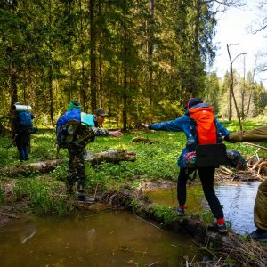 A group of hikers with backpacks navigate a stream in a lush green forest.